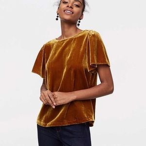 LOFT Velour Blouse